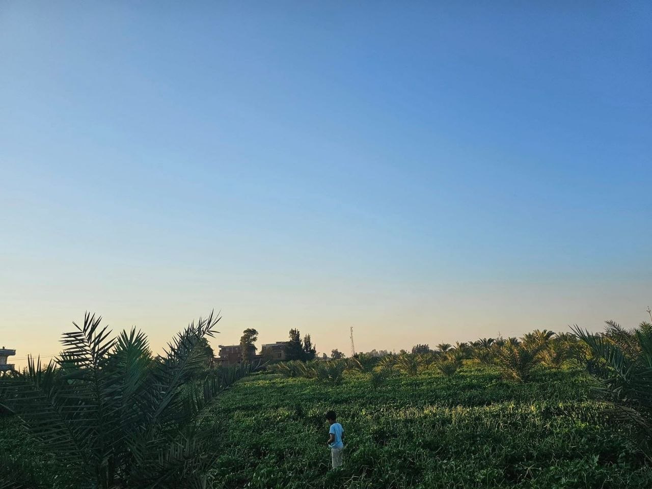 مزرعة زعبل